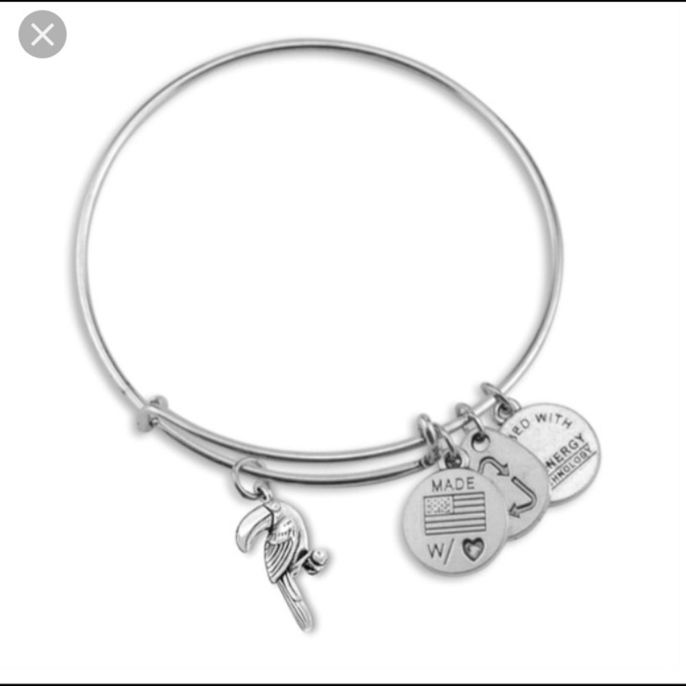Alex and ani bracelet